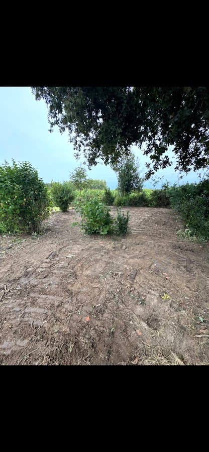 Débroussaillage & nettoyage terrain · Vendée