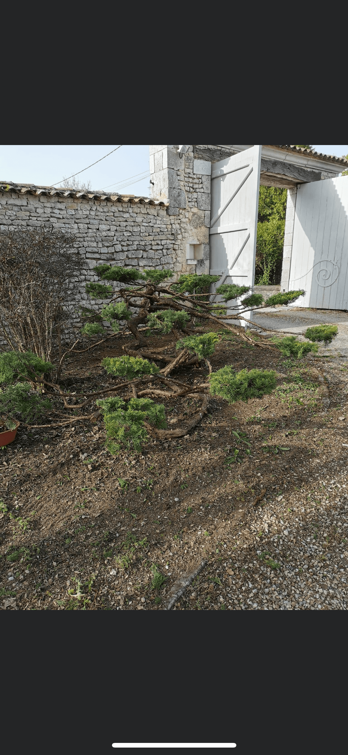 Jardin zen & harmonie naturelle