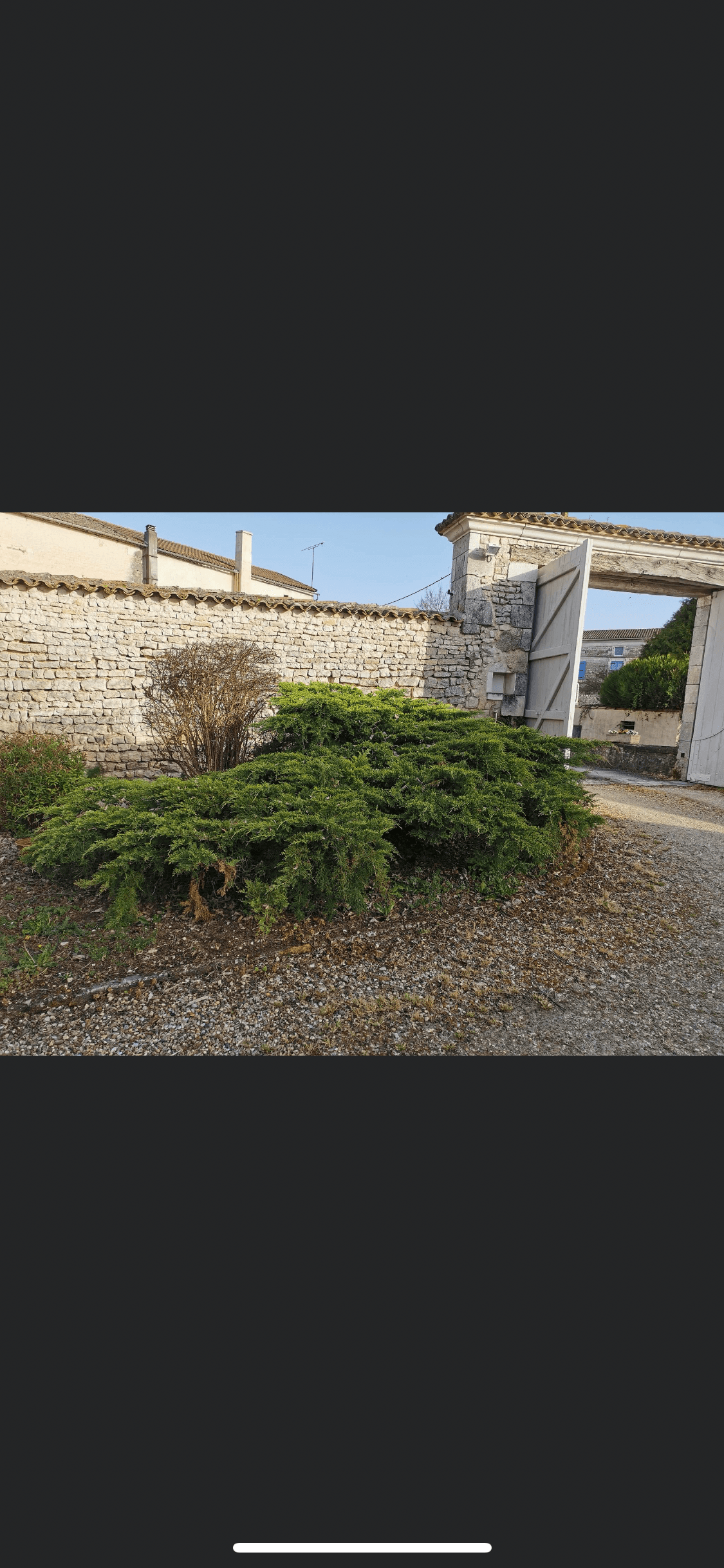 Jardin zen minéral & bambous